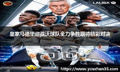 IM电竞
