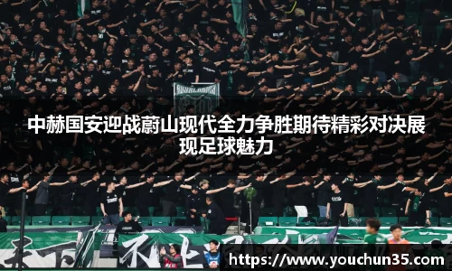 IM电竞官网